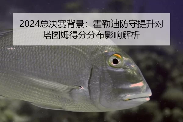 2024总决赛背景：霍勒迪防守提升对塔图姆得分分布影响解析